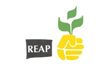 REAP