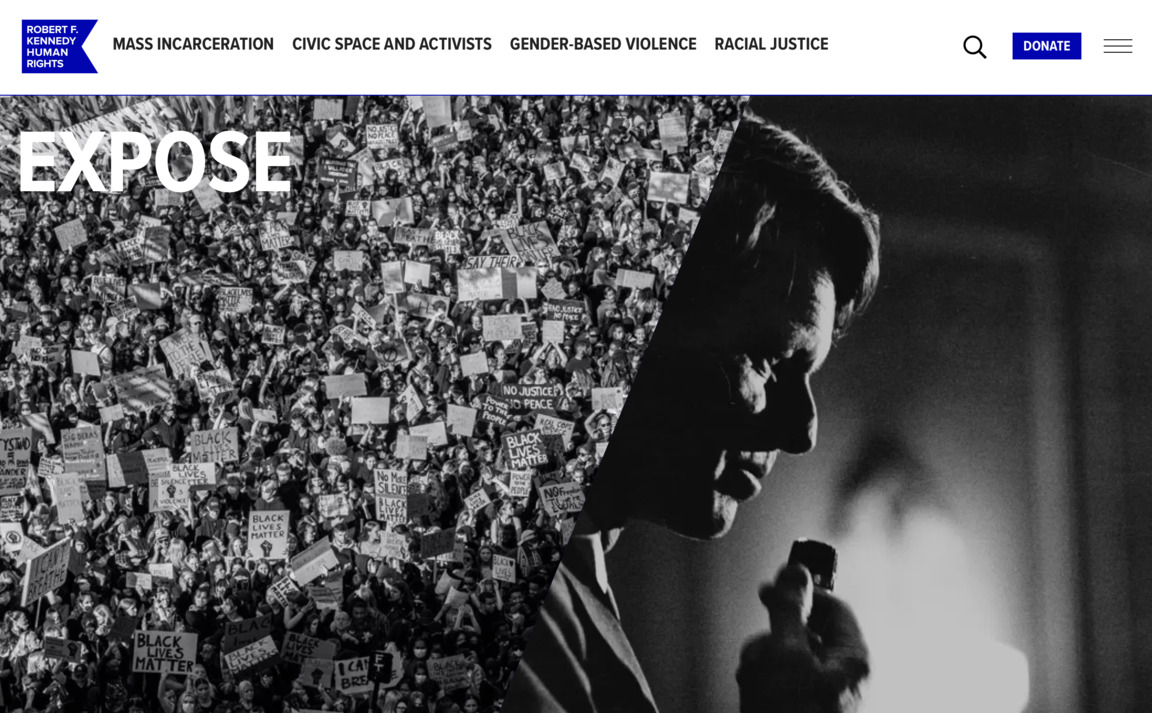 Web Design Inspiration - RFK Human Rights