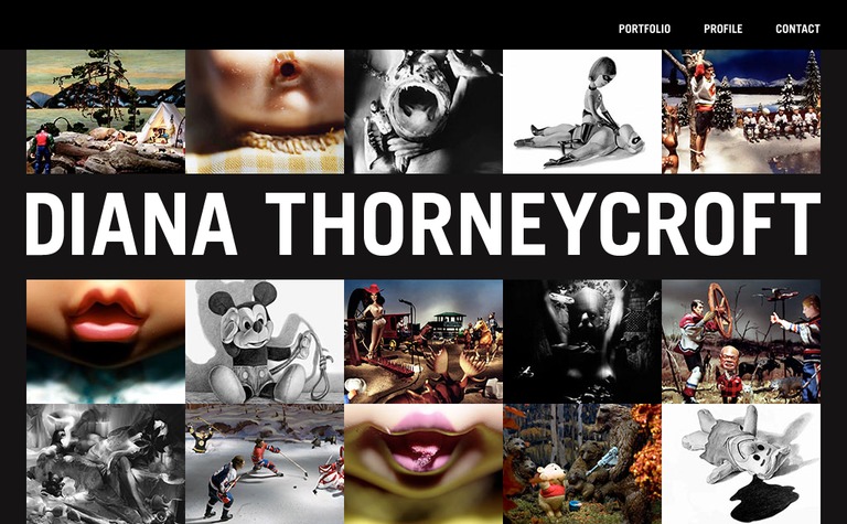 Web Design Inspiration - Diana Thorneycroft