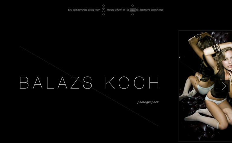 Web Design Inspiration - Balazs Koch