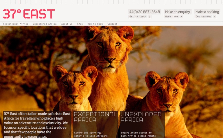 Web Design Inspiration - 37°East