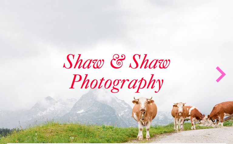 Web Design Inspiration - Shaw & Shaw