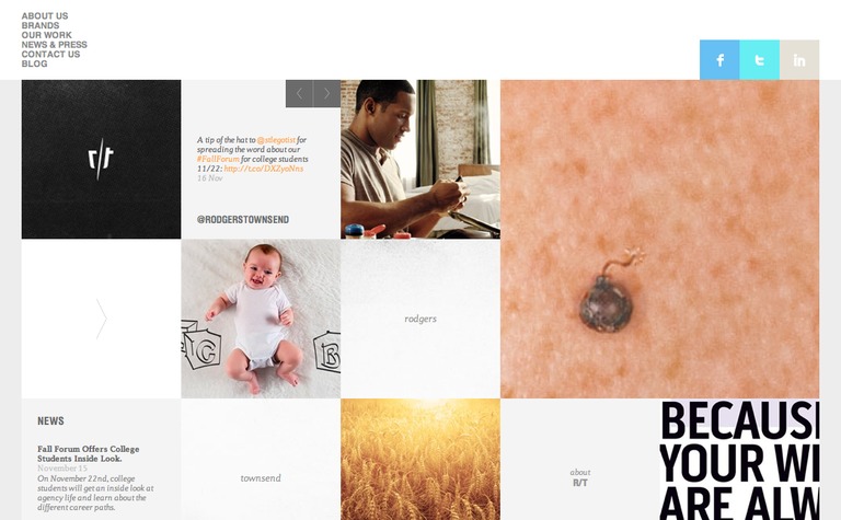 Web Design Inspiration - figtree