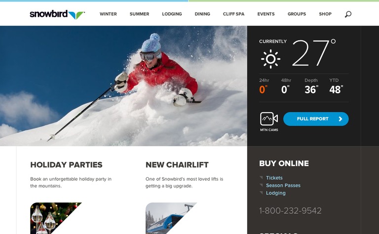 Web Design Inspiration - Snowbird