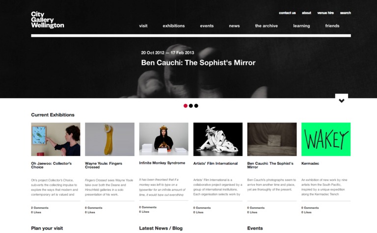 Web Design Inspiration - City Gallery Wellington