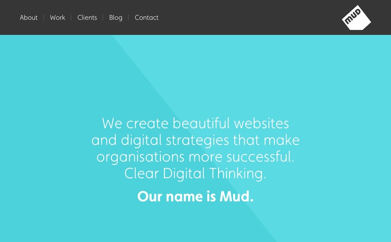 Web Design Inspiration - Mud