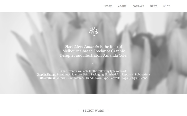 Web Design Inspiration - Amanda Cole