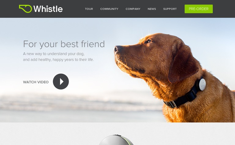 Web Design Inspiration - Whistle