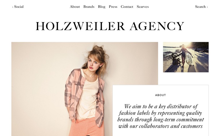 Web Design Inspiration - Holzweiler Agency