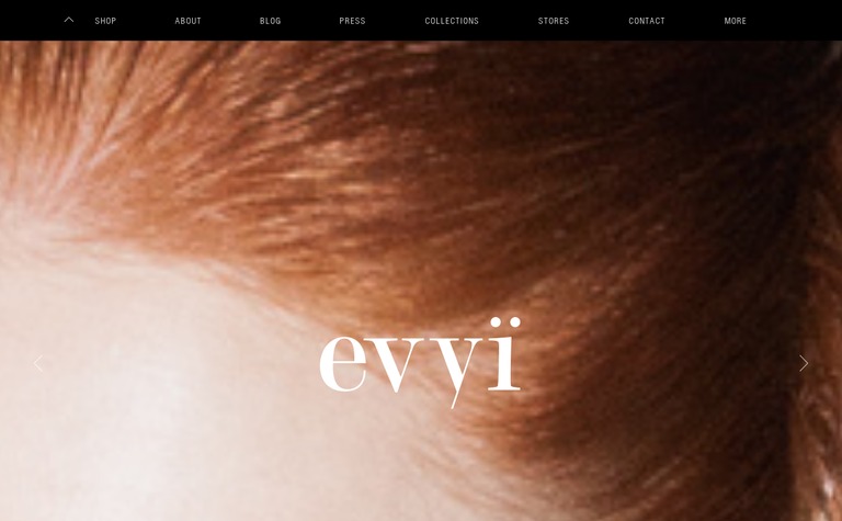 Web Design Inspiration - Evyi
