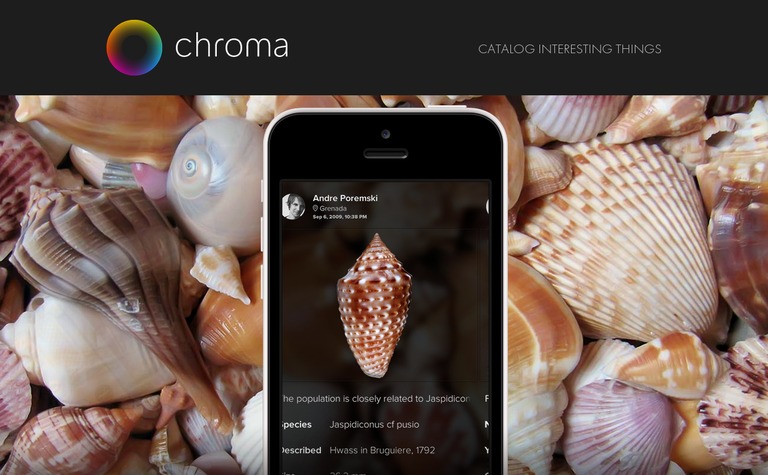 Web Design Inspiration - Chroma