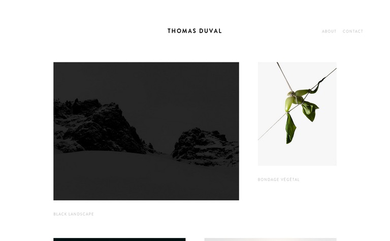 Web Design Inspiration - Thomas Duval