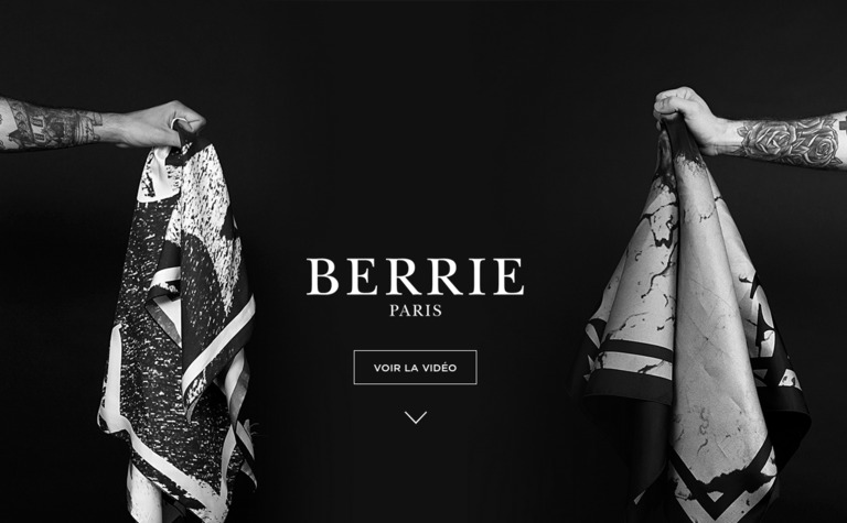 Web Design Inspiration - Berrie