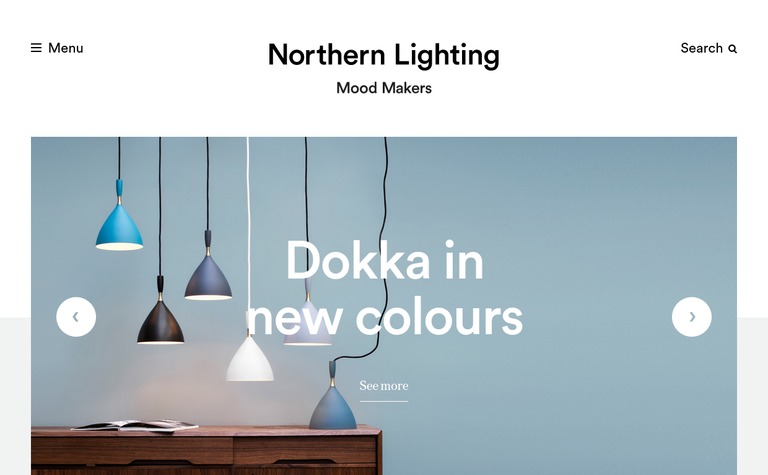 Web Design Inspiration - Northern Lighting
