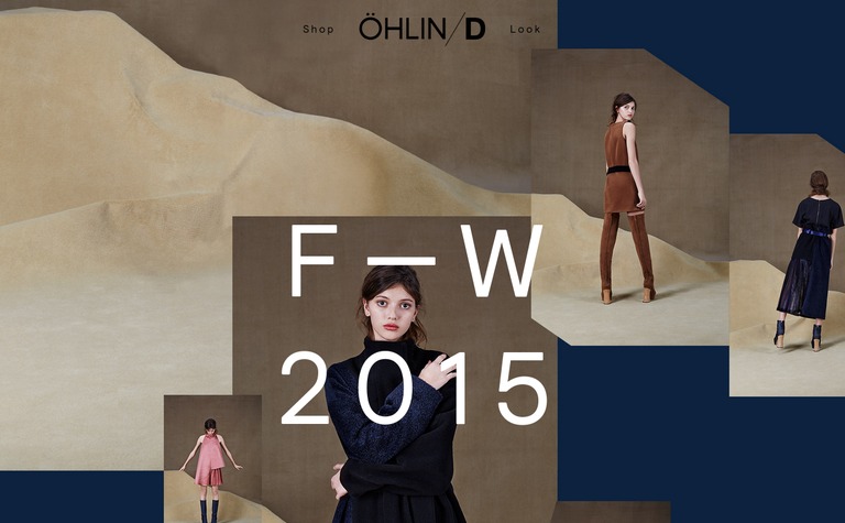 Web Design Inspiration - ohlin-d