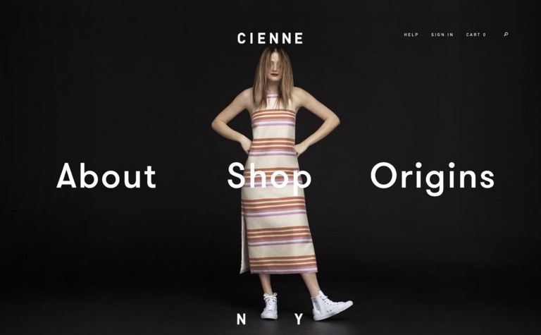 Web Design Inspiration - Cienne NY