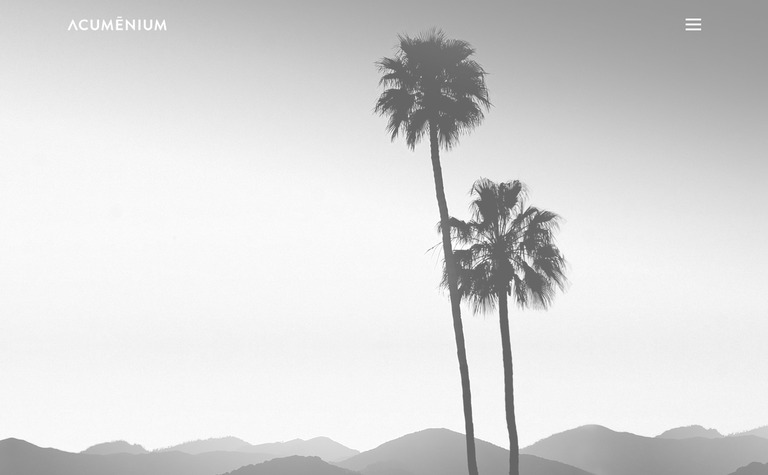 Web Design Inspiration - Acumenium