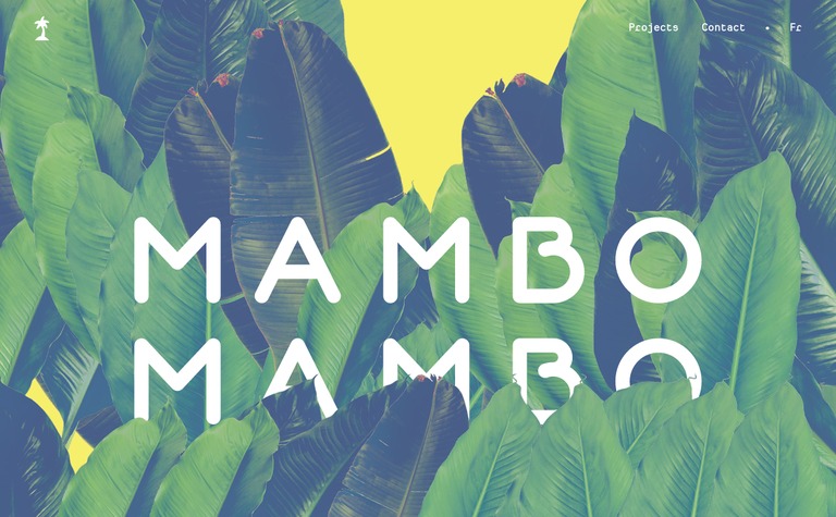 Web Design Inspiration - MamboMambo
