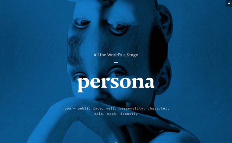 Web Design Inspiration - Persona