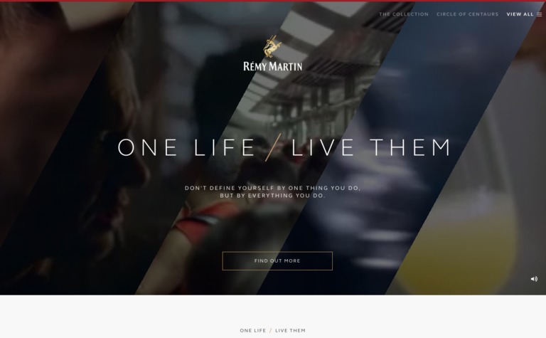 Web Design Inspiration - Rémy Martin