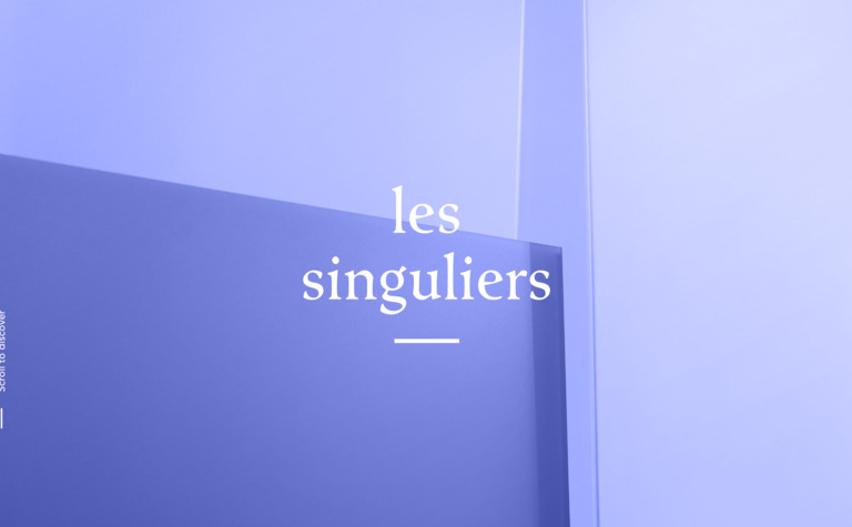 Web Design Inspiration - Les Singuliers