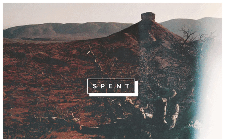 Web Design Inspiration - Spent