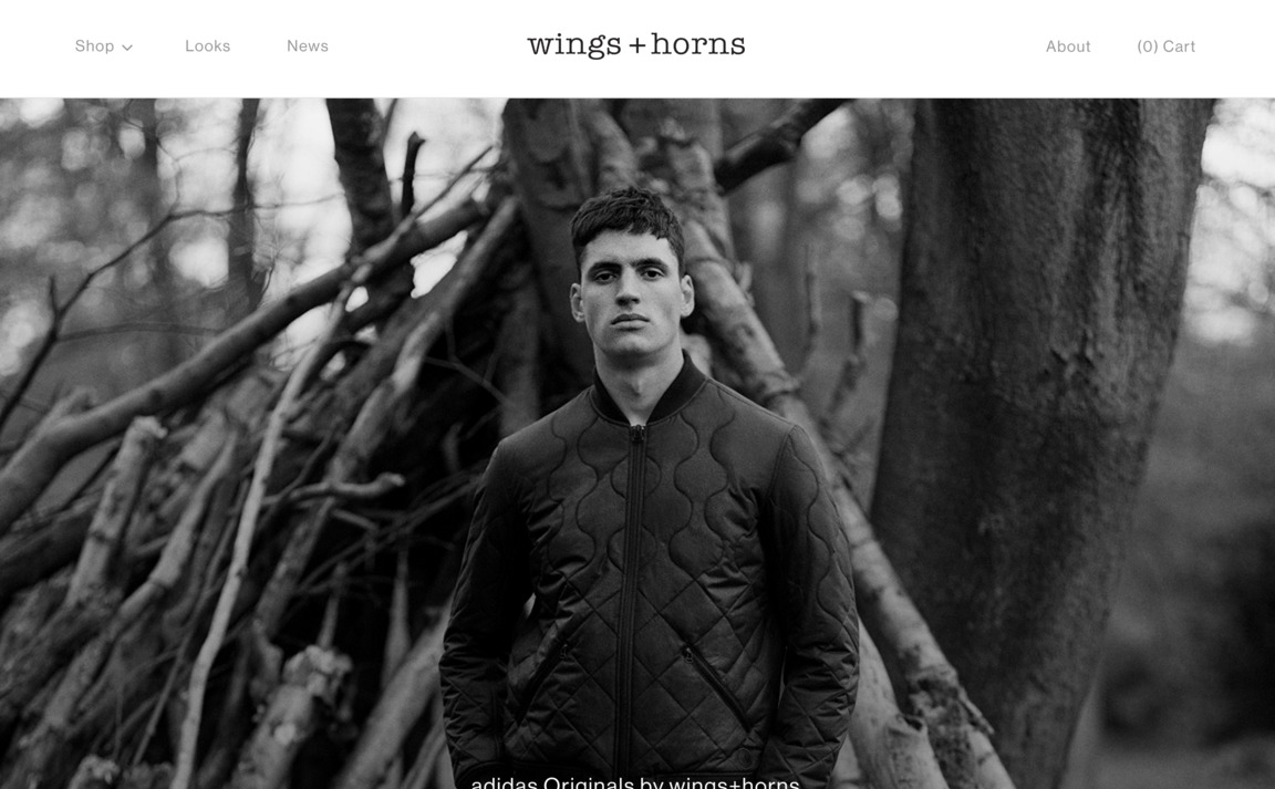 Web Design Inspiration - Wings + Horns