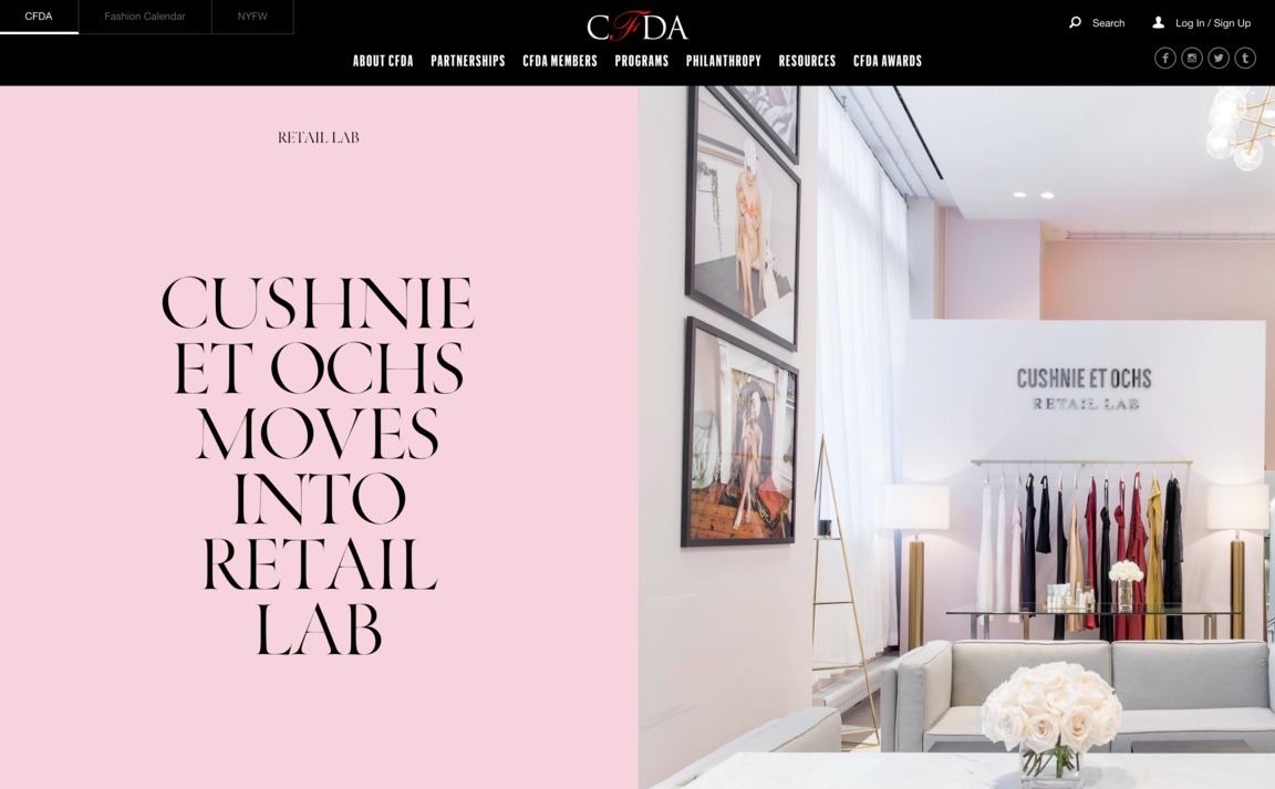 Web Design Inspiration - CFDA