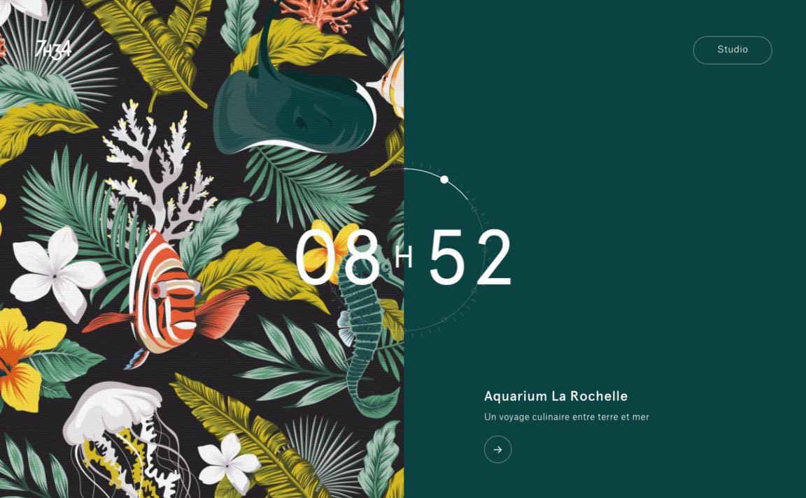 Web Design Inspiration - 7h34