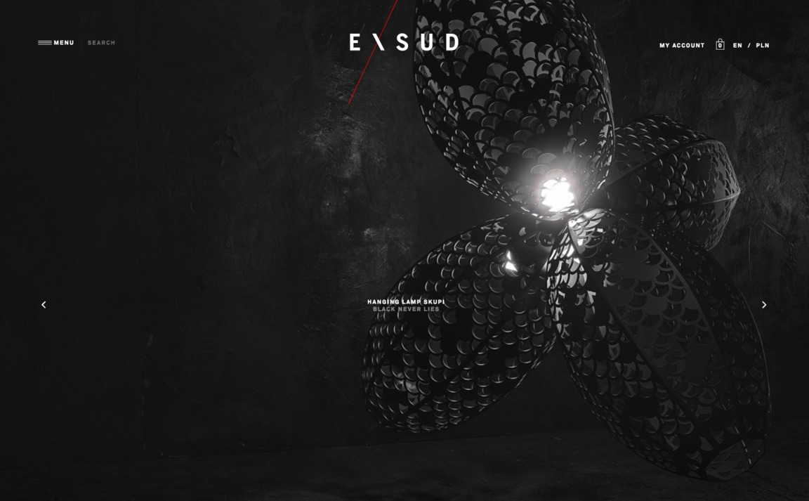 Web Design Inspiration - Exsud