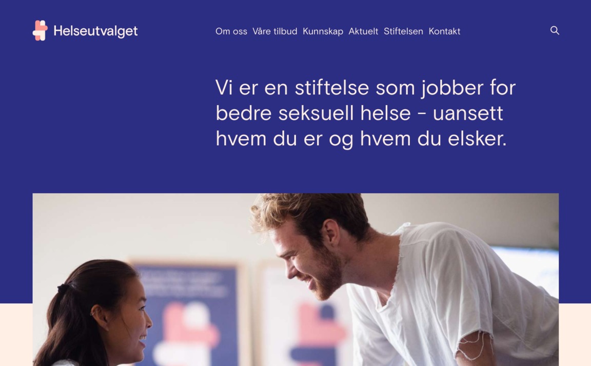 Web Design Inspiration - Helseutvalget