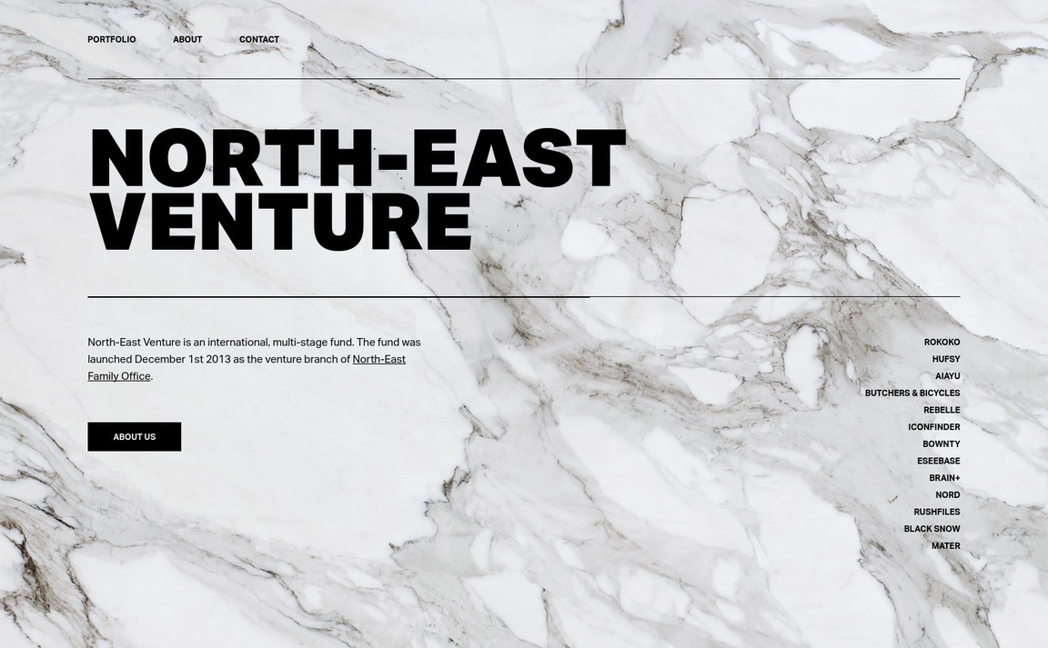 Web Design Inspiration - North-East Venture