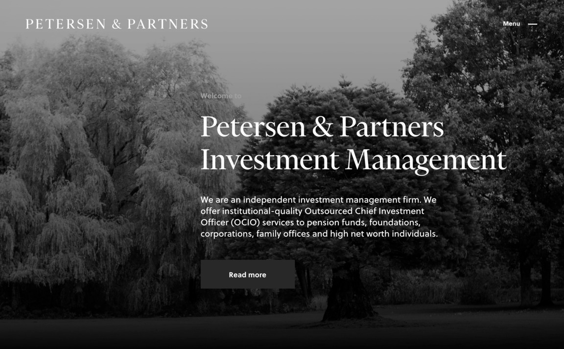 Web Design Inspiration - Petersen & Partners