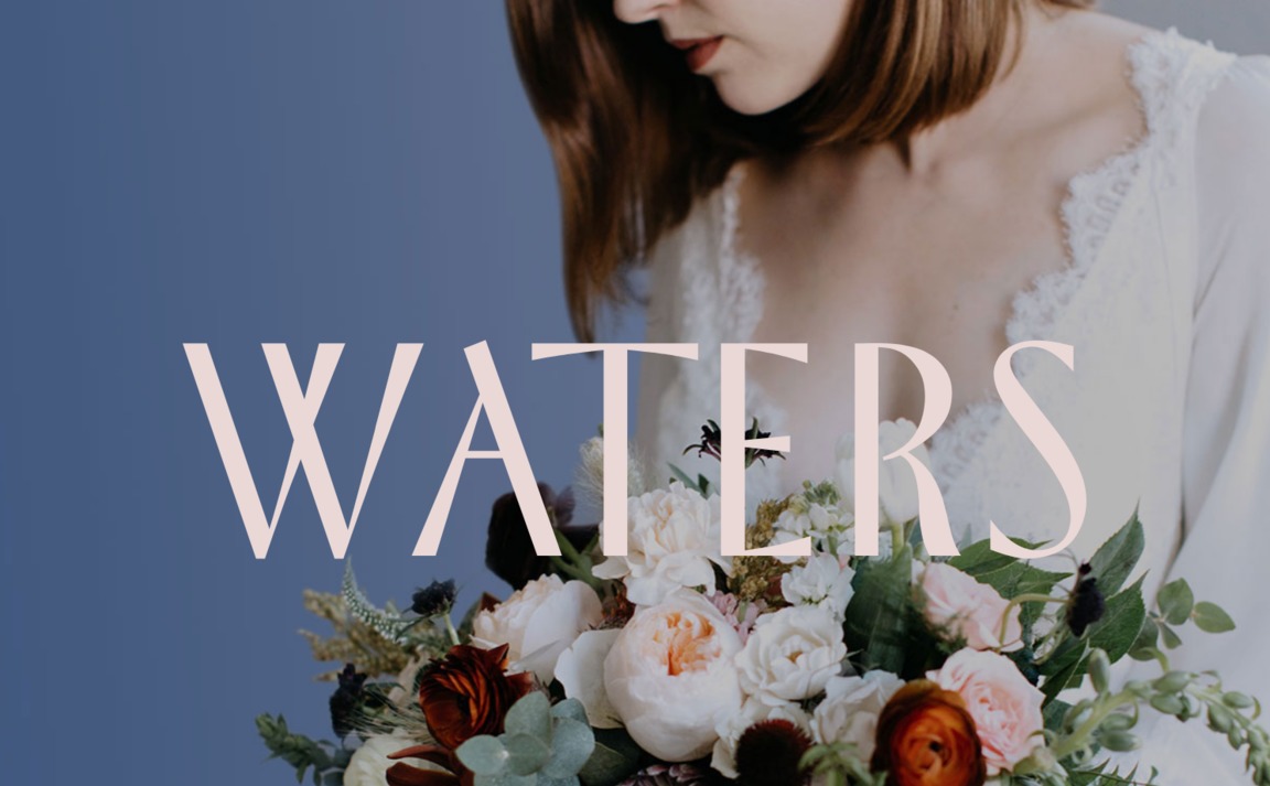 Web Design Inspiration - Waters