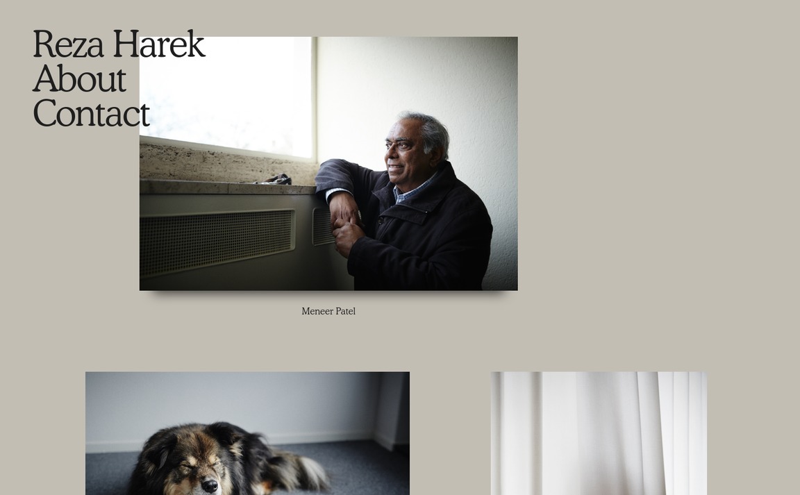 Web Design Inspiration - Reza Harek