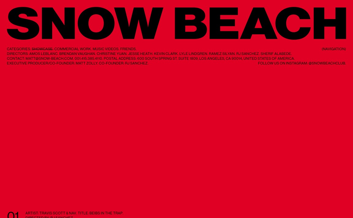 Web Design Inspiration - SNOW BEACH