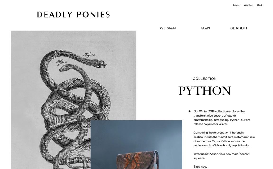 Web Design Inspiration - Deadly Ponies
