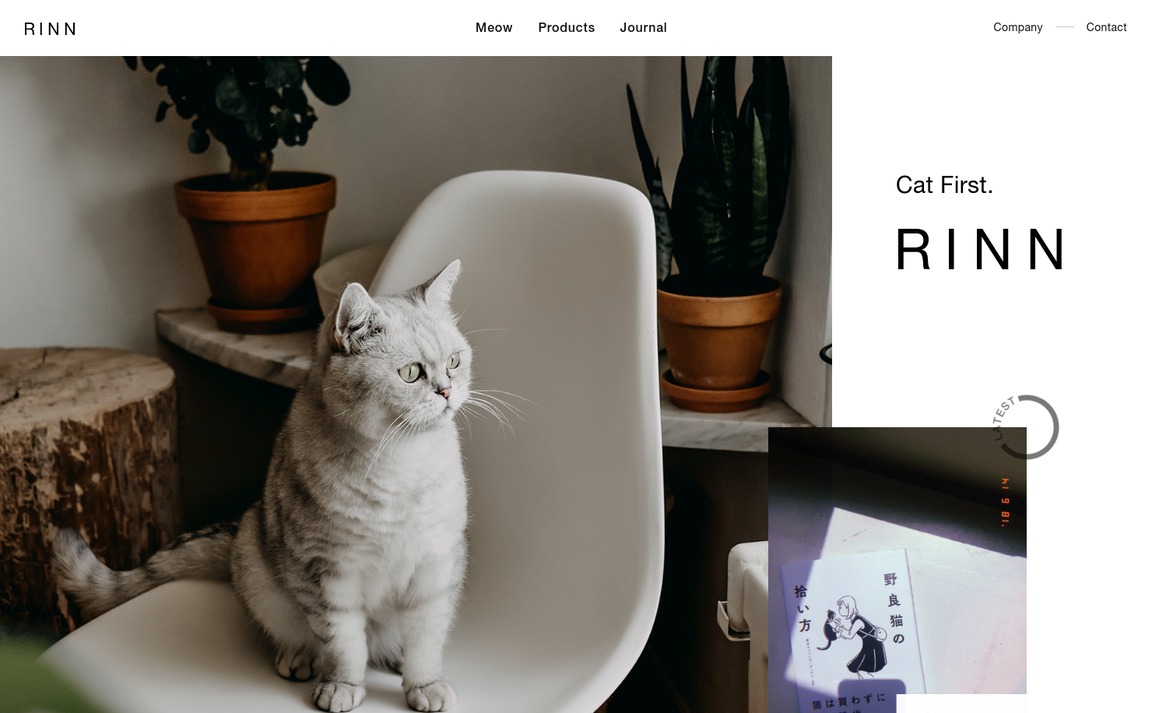 Web Design Inspiration - RINN Inc.