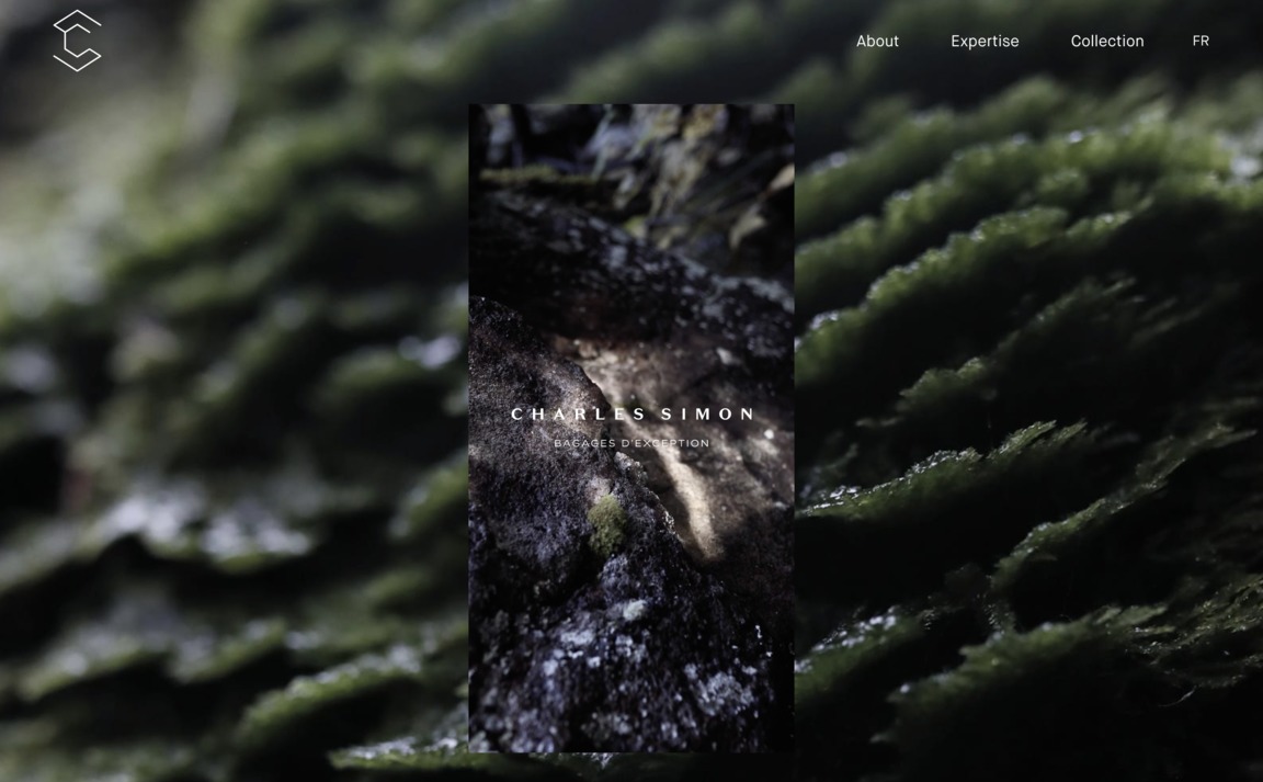 Web Design Inspiration - Charles Simon