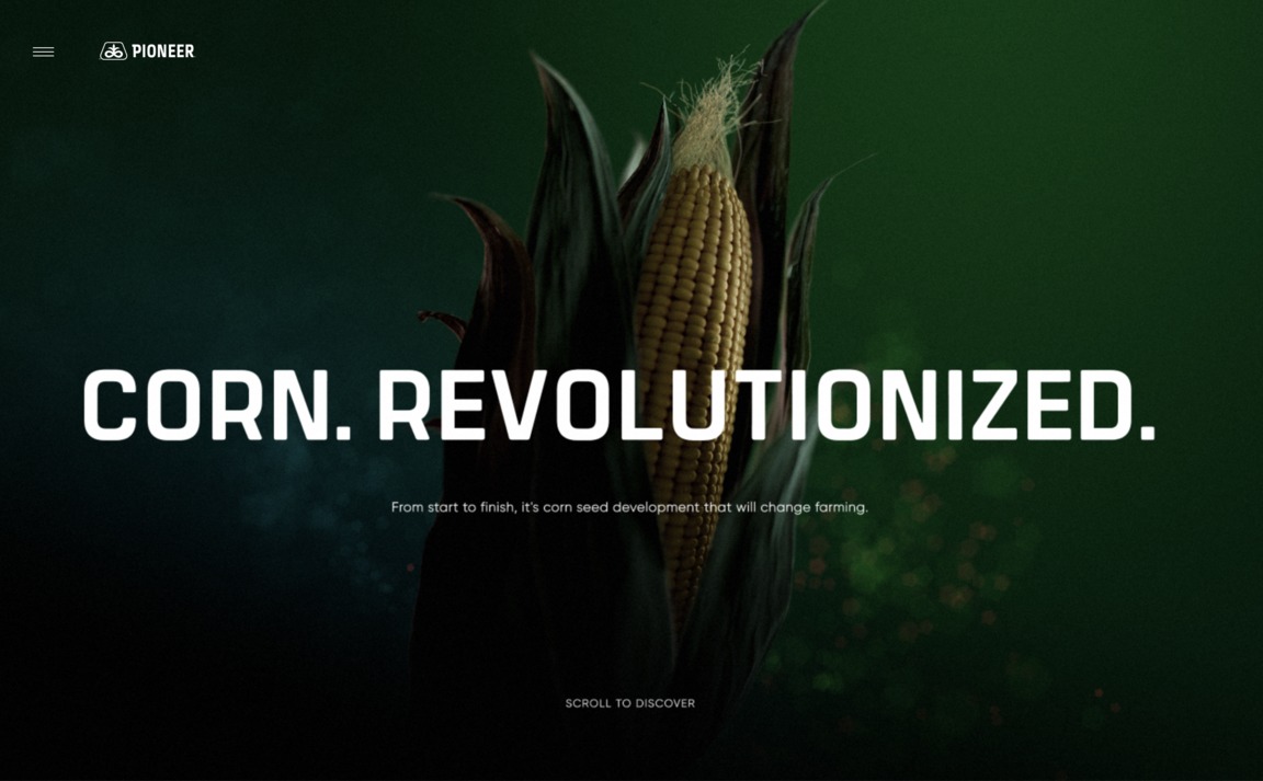 Web Design Inspiration - Pioneer — Corn Revolution