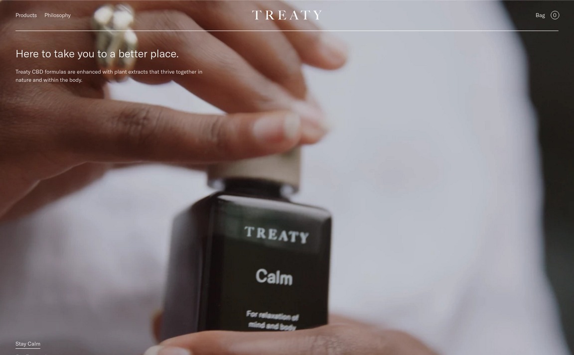 Web Design Inspiration - Treaty