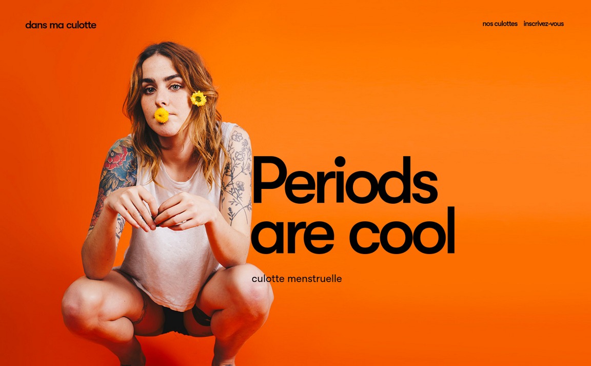 Web Design Inspiration - Culottes Menstruelles by Dans Ma Culotte