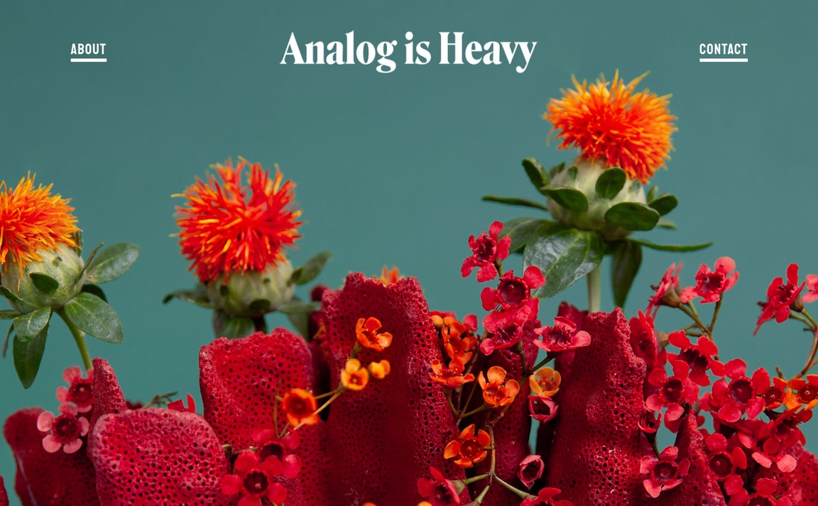 Web Design Inspiration - Analog is Heavy