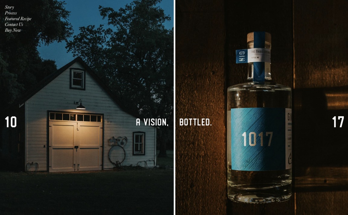 Web Design Inspiration - 1017 Gin