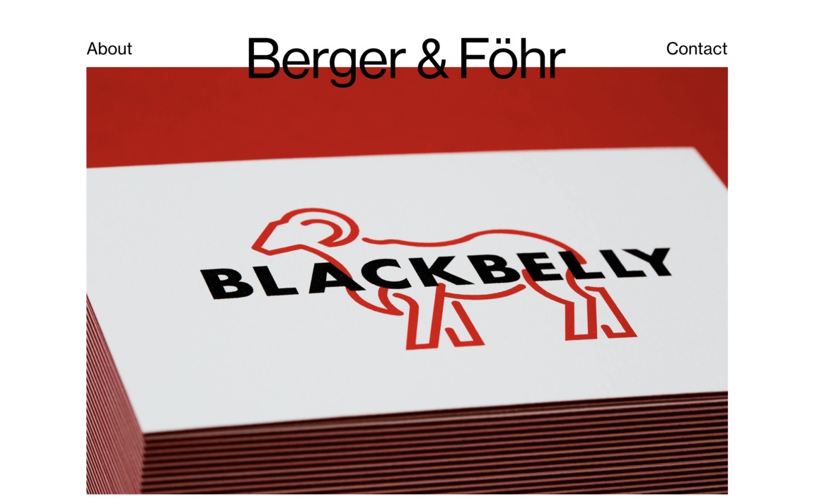 Web Design Inspiration - Berger & Föhr