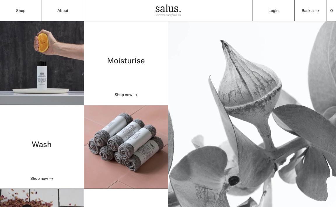 Web Design Inspiration - Salus Body