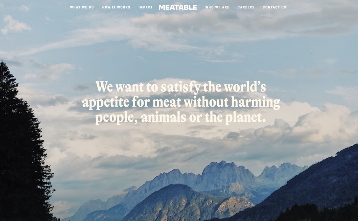 Web Design Inspiration - Meatable