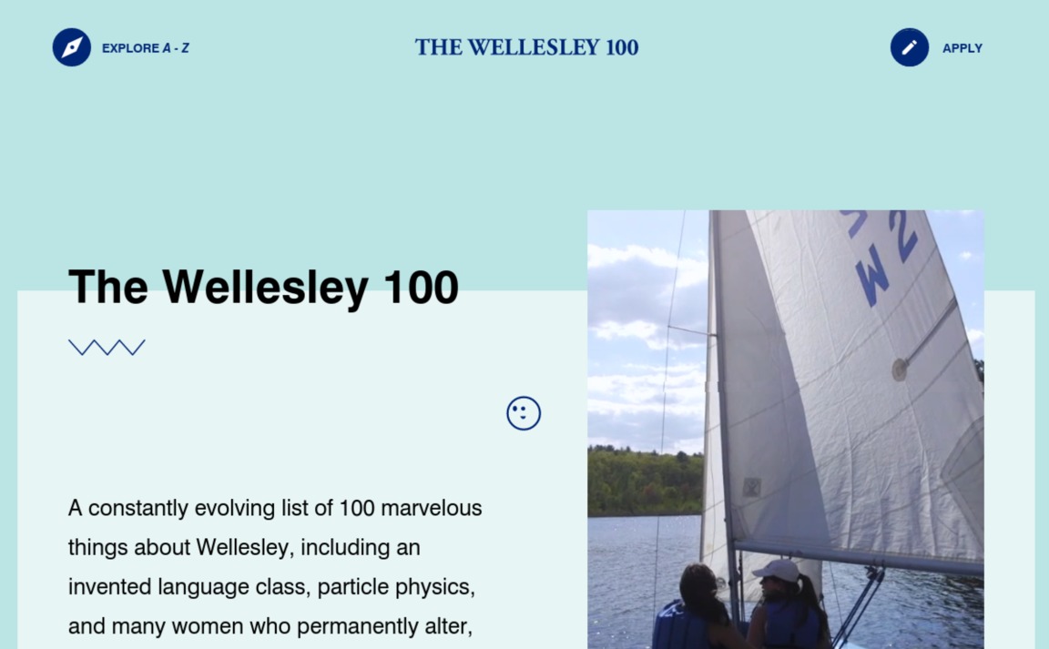 Web Design Inspiration - The Wellesley 100