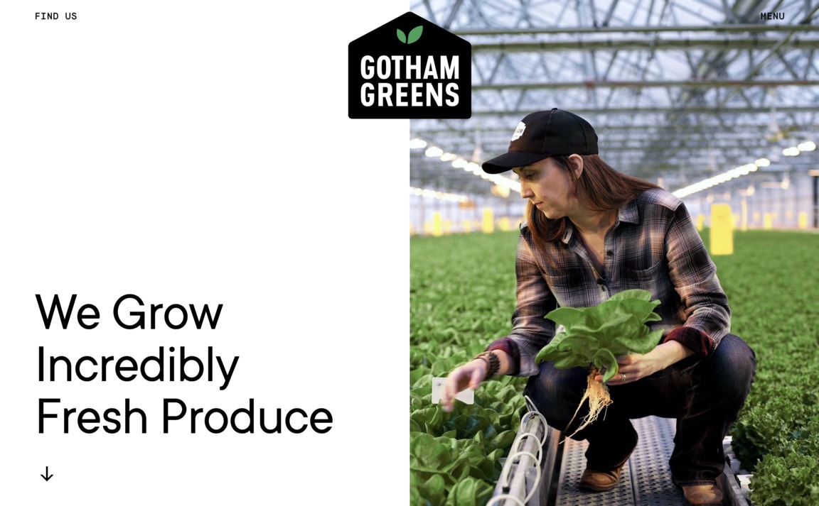 Web Design Inspiration - Gotham Greens