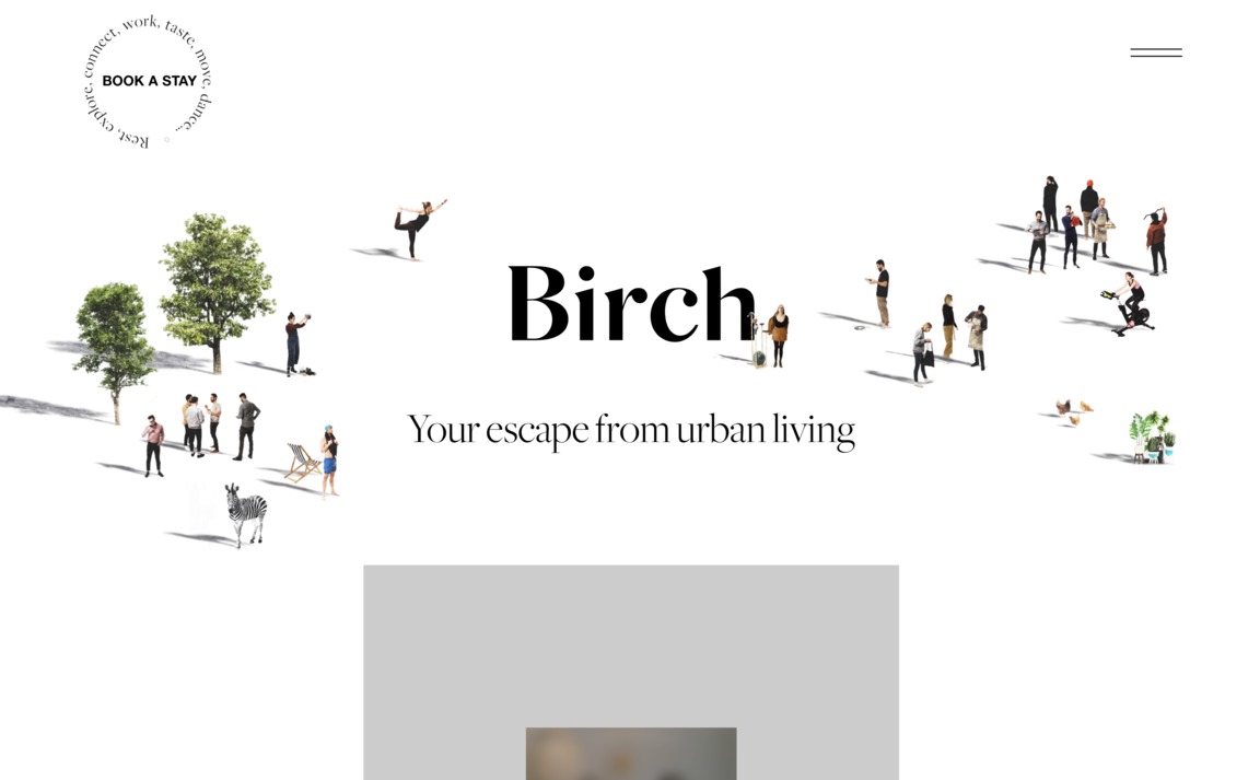 Web Design Inspiration - Birch